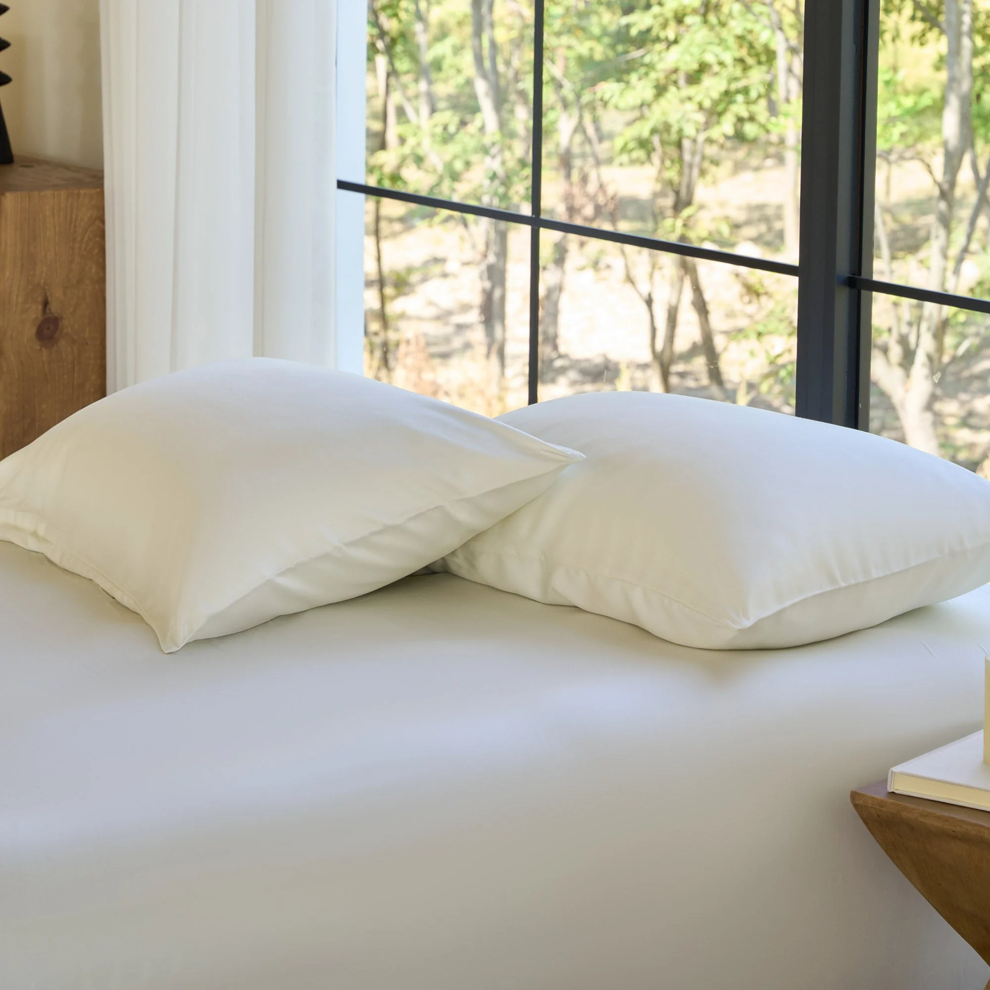 AiryWeight Eucalyptus Pillowcase Set - Image 38