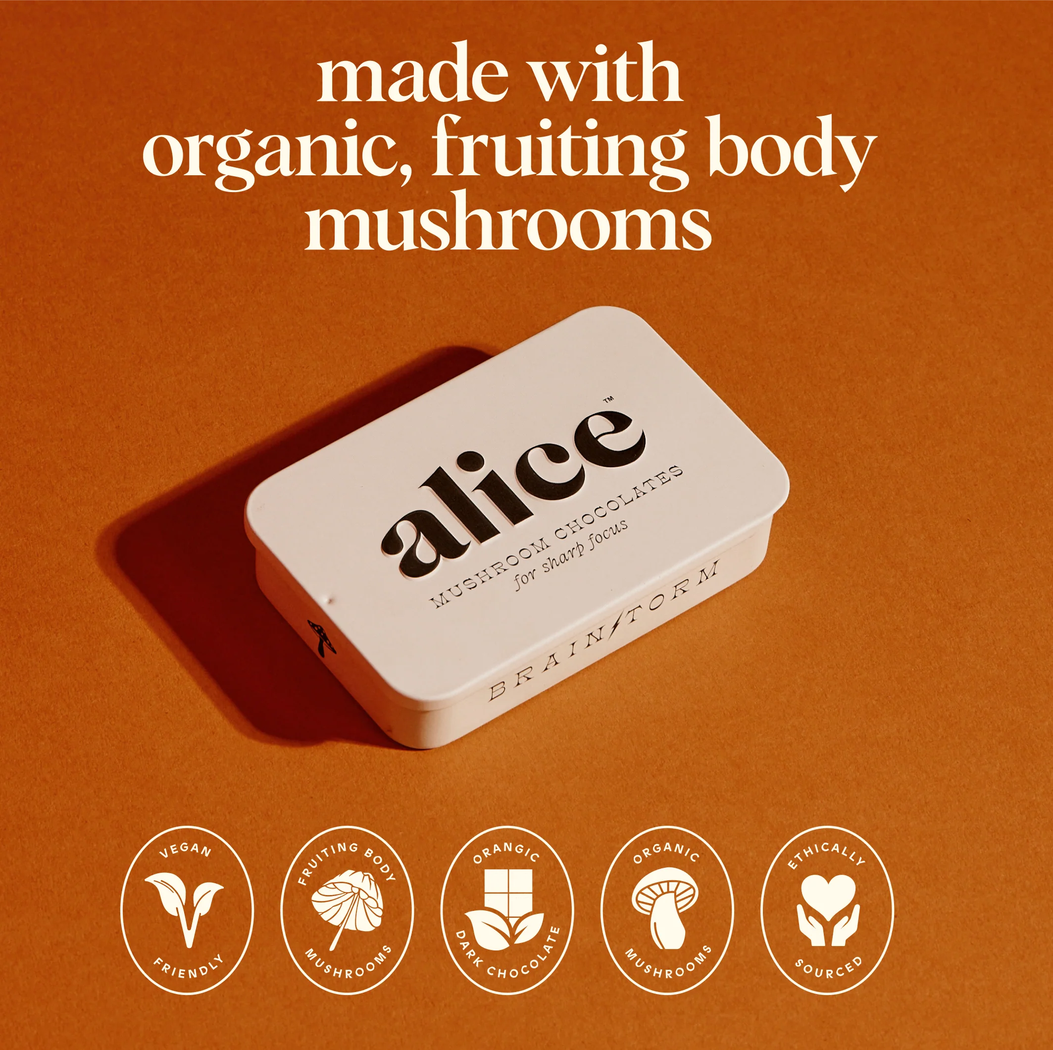 Brainstorm Single Tin - Image 5