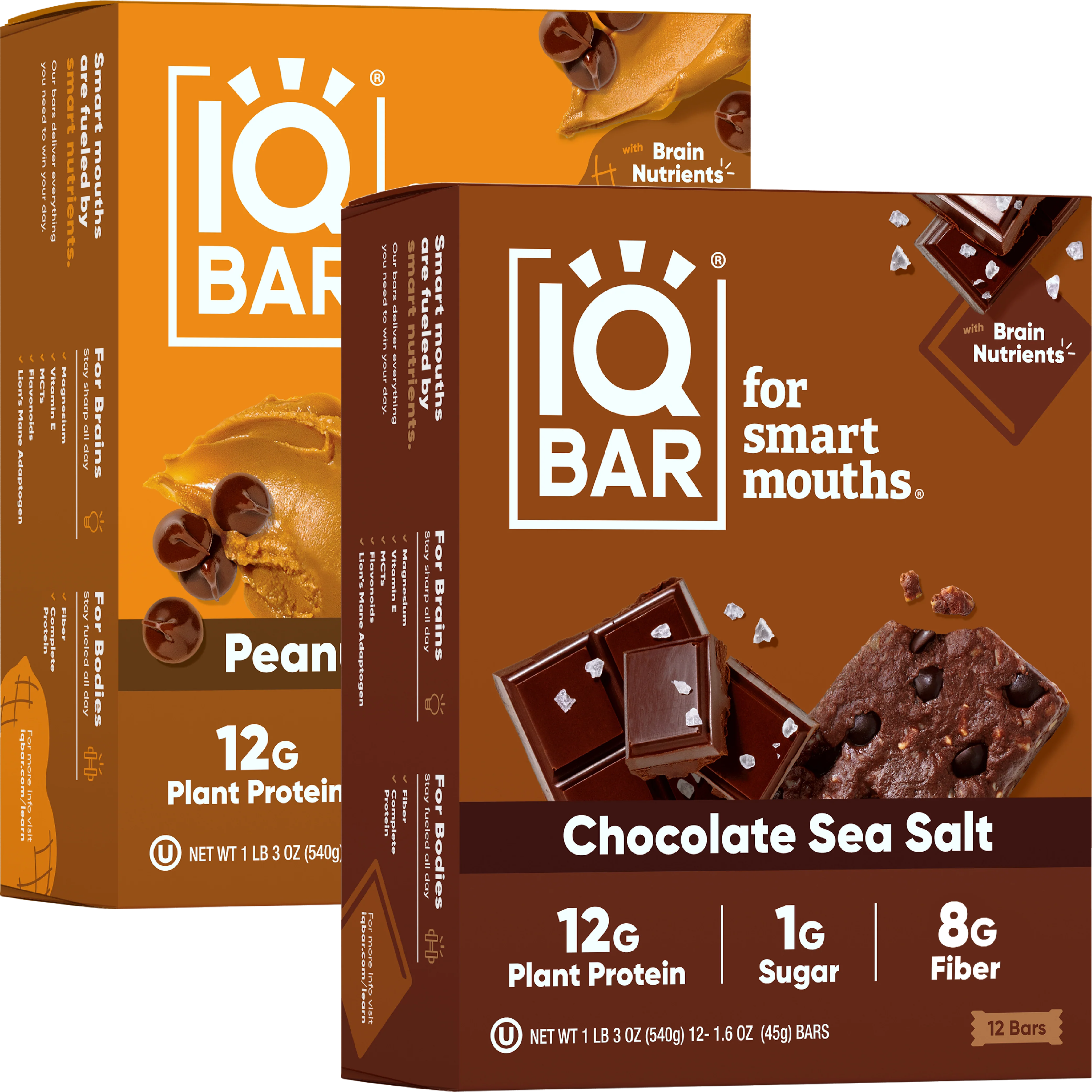 Chocolate Sea Salt & Peanut Butter Chip (24 Bars)
