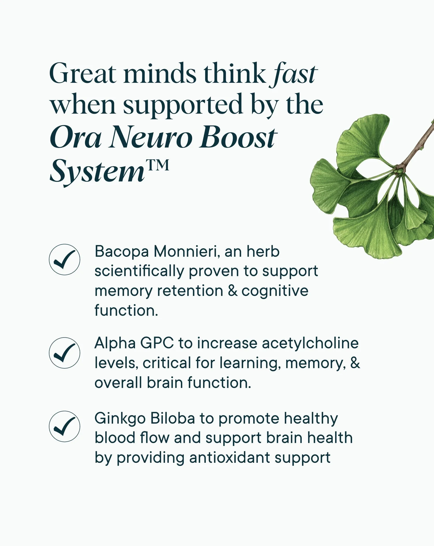 Cognitive Support Supplement - Image 3