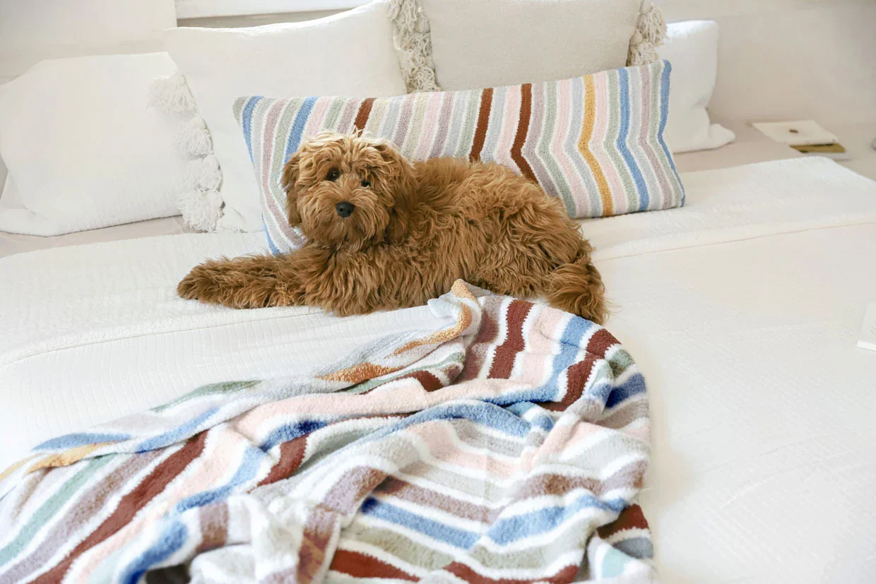 Cusco Lightweight Throw | Last Chance - Image 11