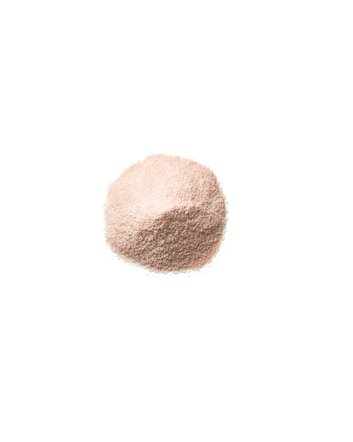 Debloat: Prebiotic + Probiotic Florida Orange - Image 4