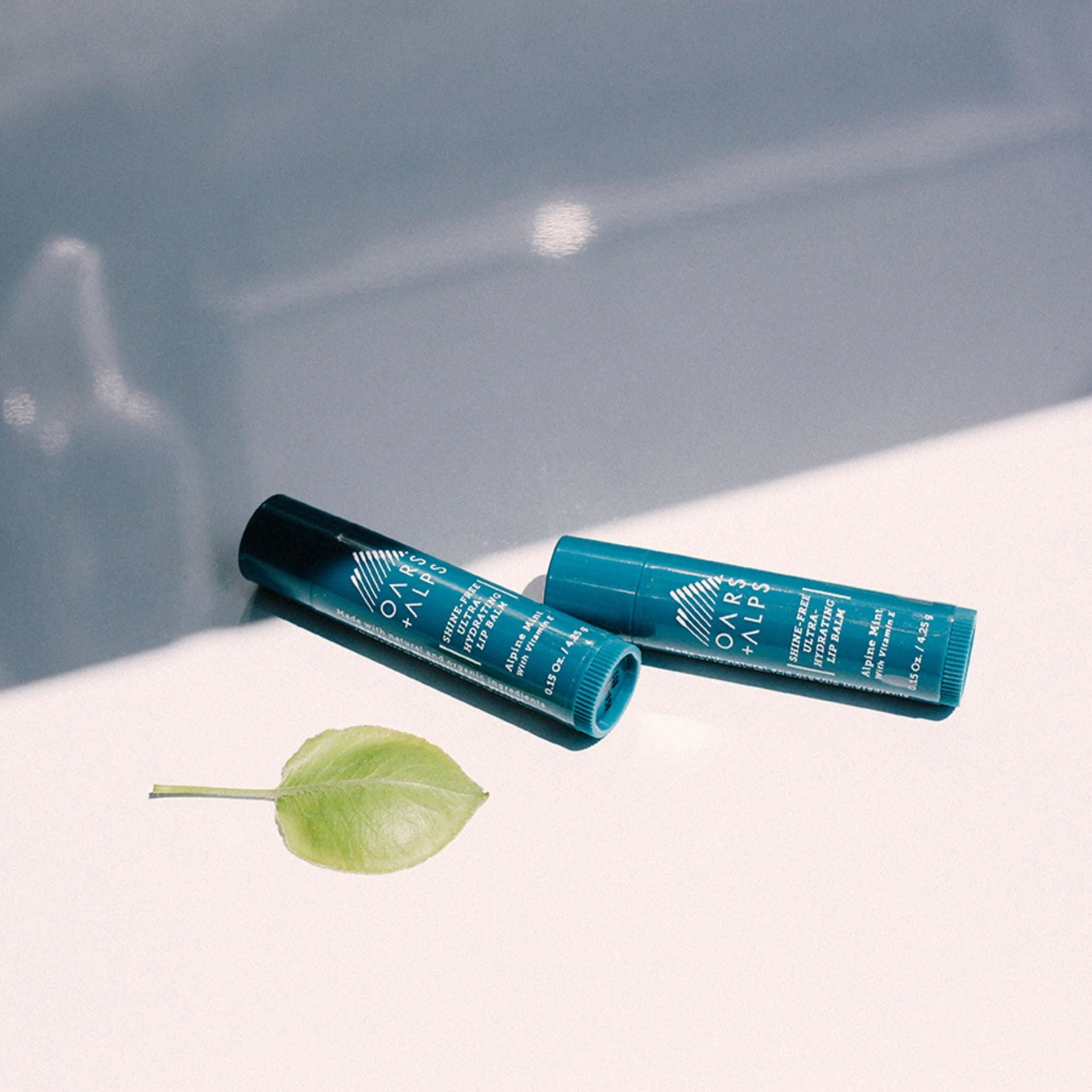 Everyday Essentials Kit - Alpine Tea Tree - Image 4