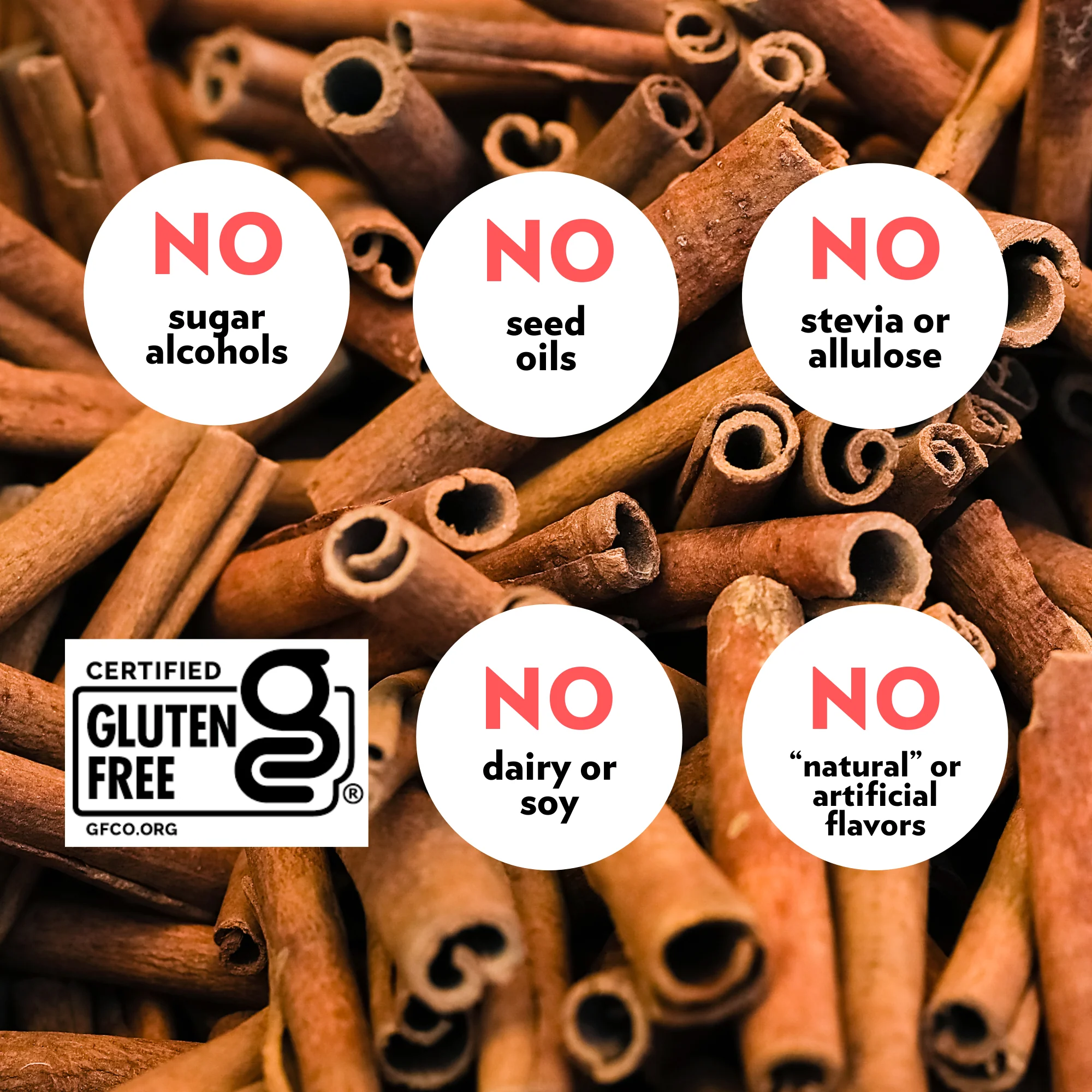 High Protein Cinnamon Cashew Crunch PROTEIN+ Bar (12 Count) - Image 3