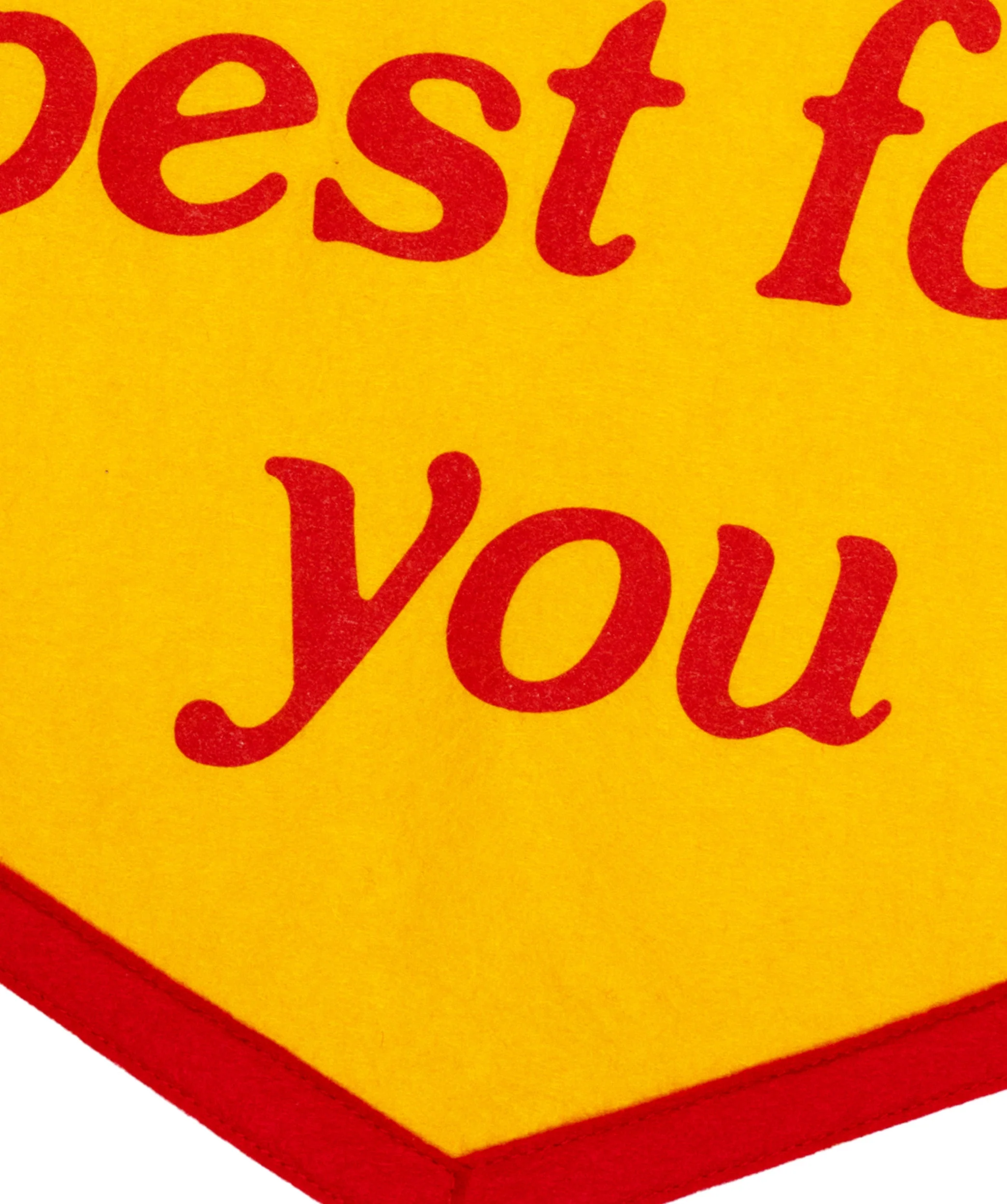 I Always Kept The Best For You Camp Flag • Turnpike Troubadours x Oxford Pennant - Image 3