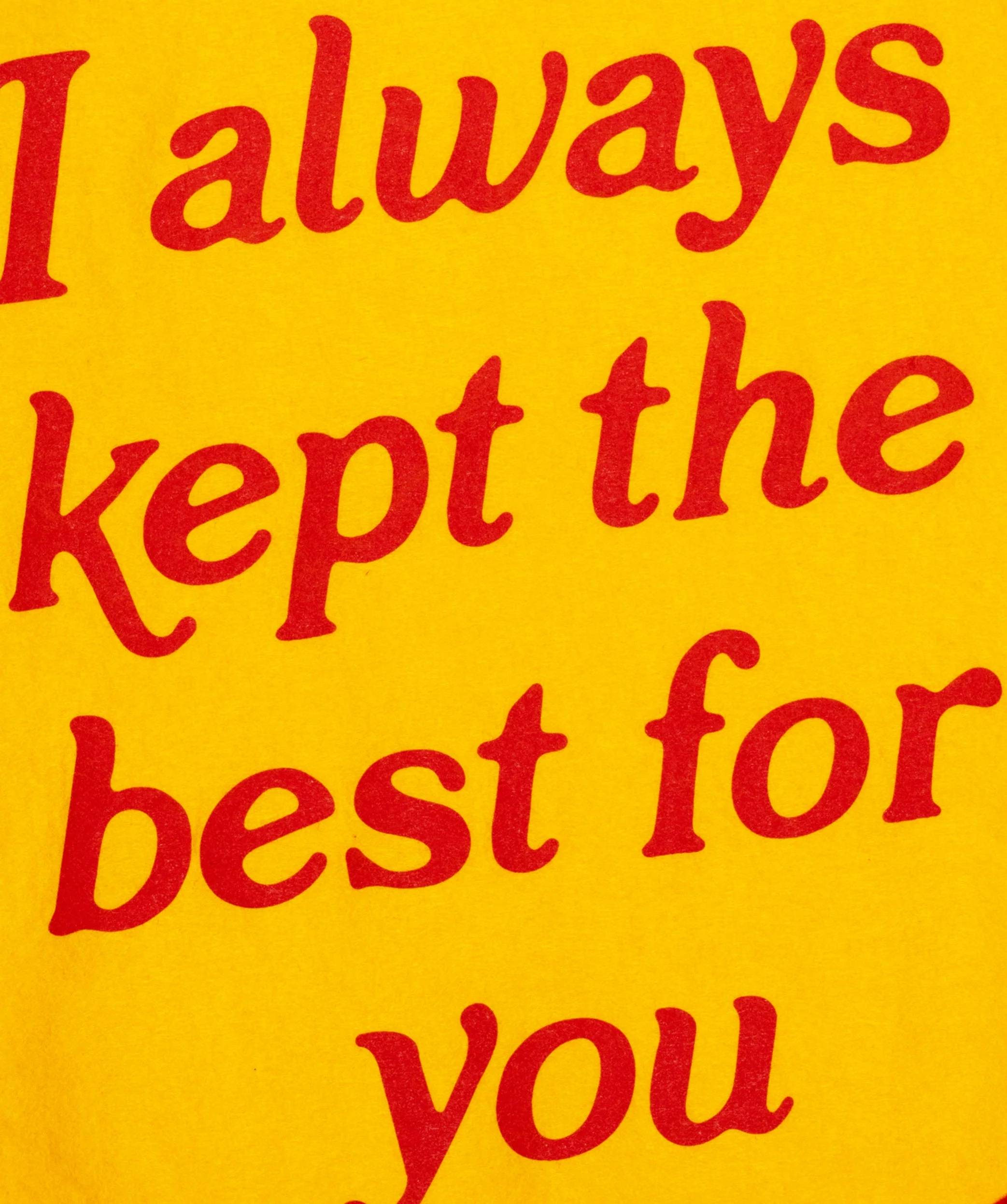 I Always Kept The Best For You Camp Flag • Turnpike Troubadours x Oxford Pennant - Image 4