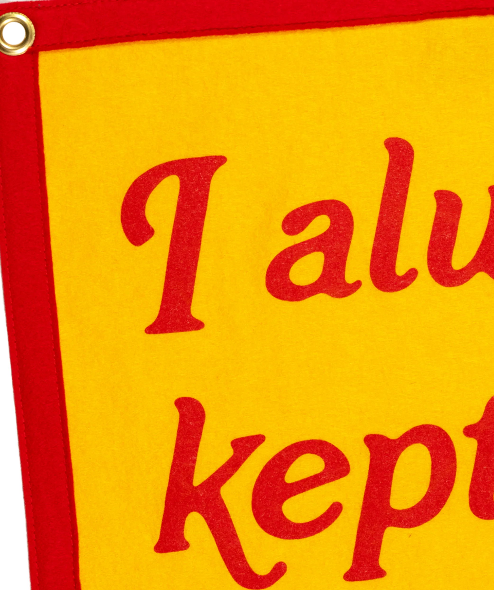 I Always Kept The Best For You Camp Flag • Turnpike Troubadours x Oxford Pennant - Image 5