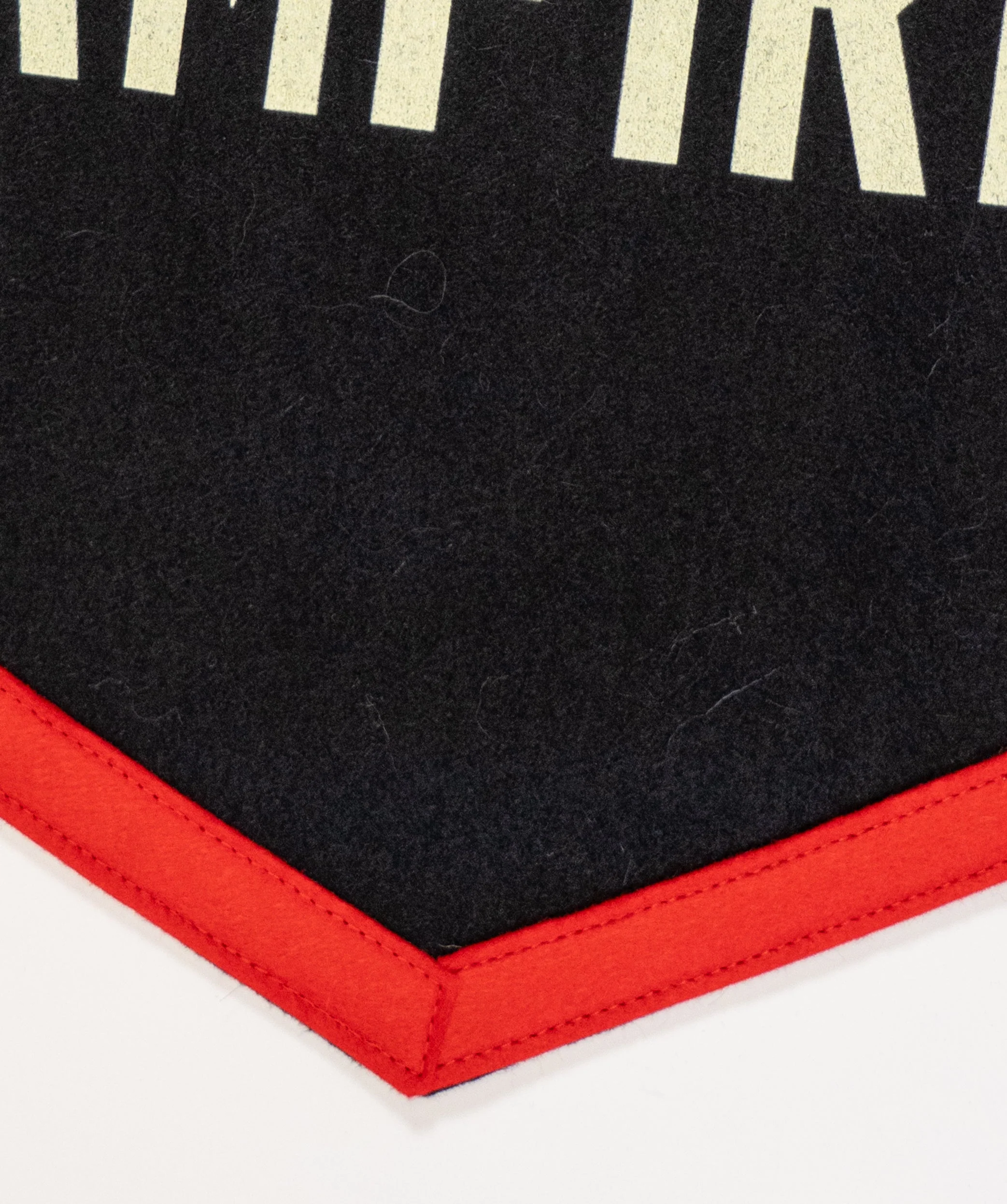 If We Were Vampires Camp Flag • Jason Isbell x Oxford Pennant - Image 3