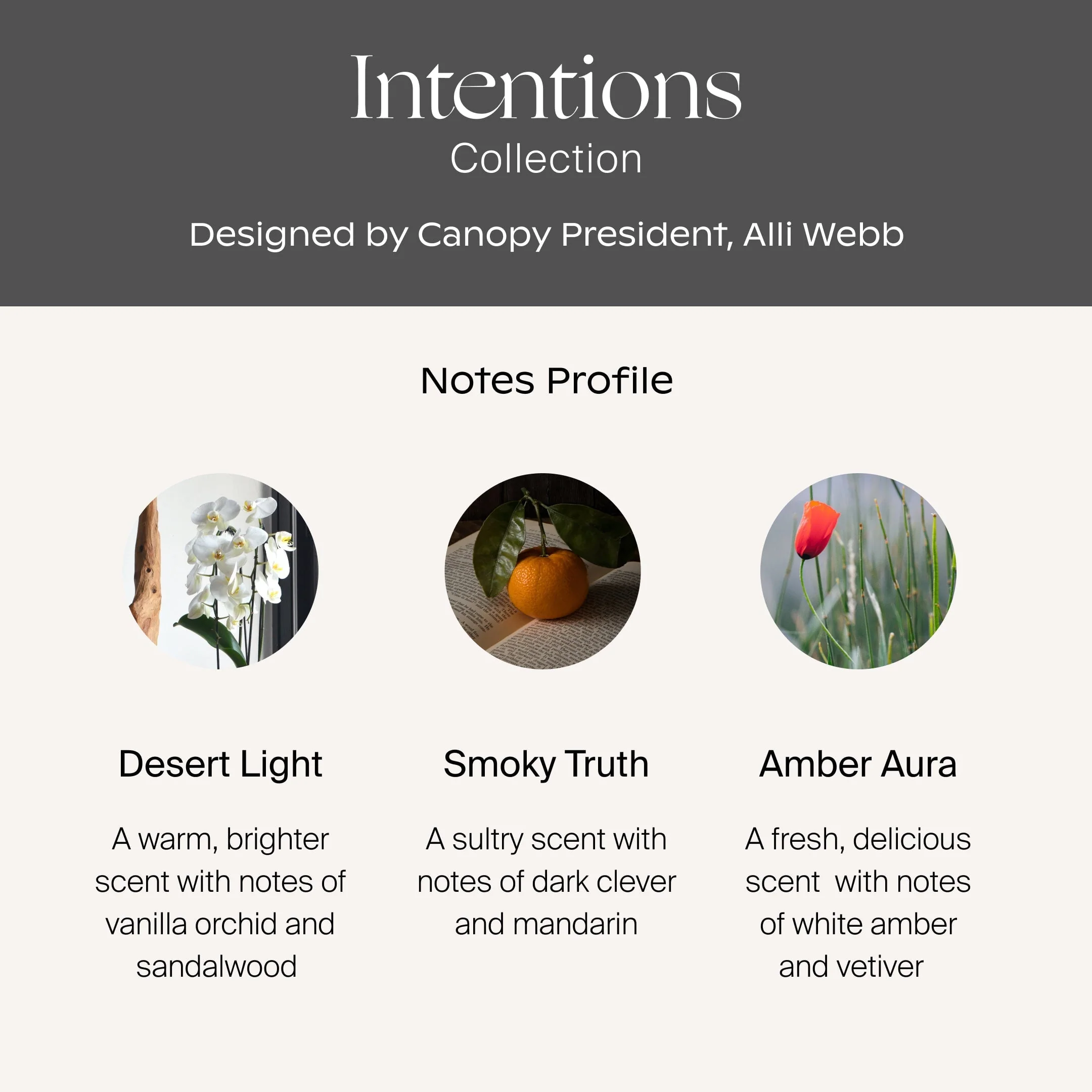 Intentions Aroma Kit - Image 3