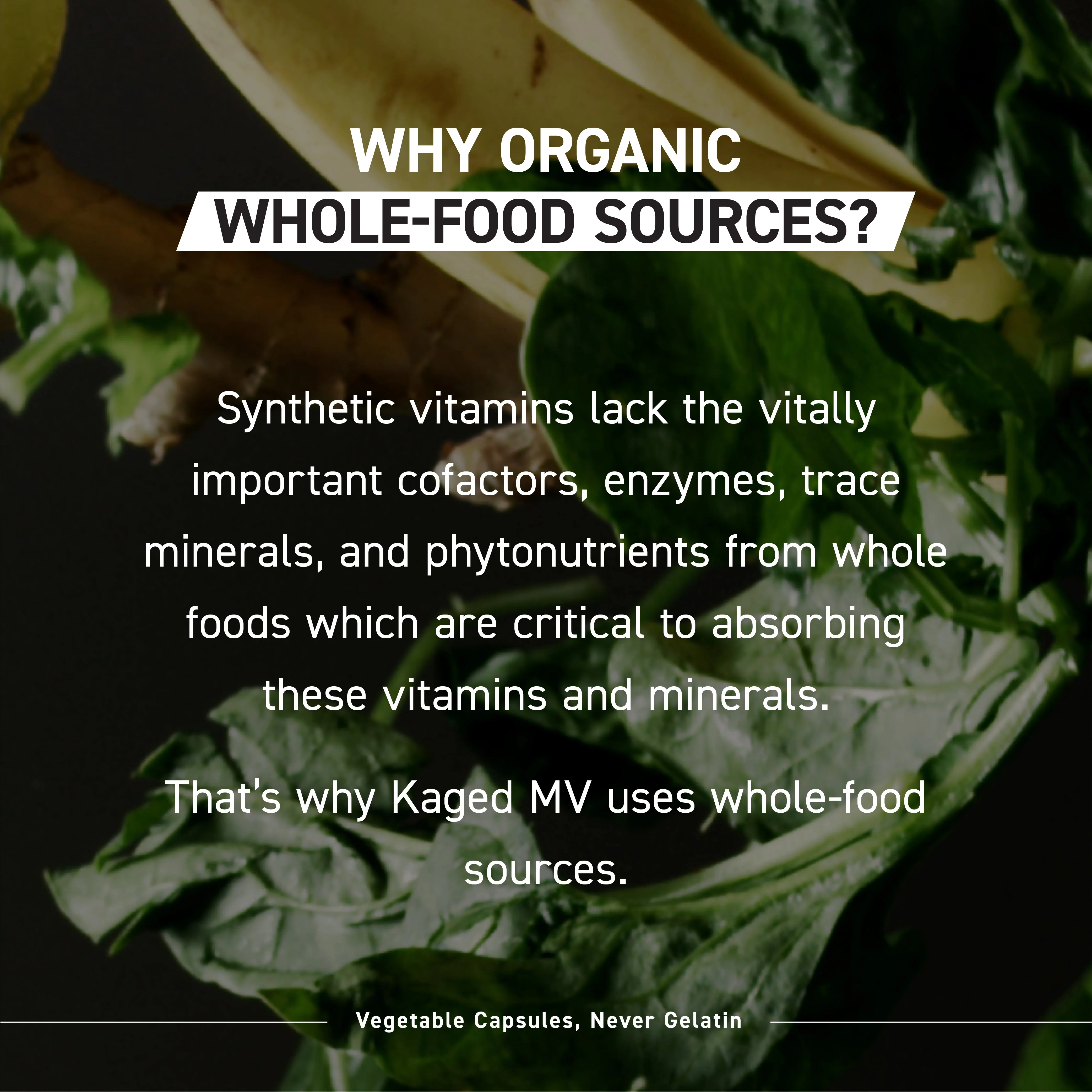 Multivitamin - Image 5
