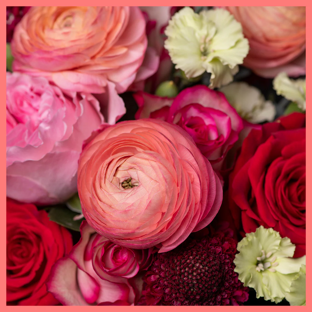 My Sweet Valentine - Image 10