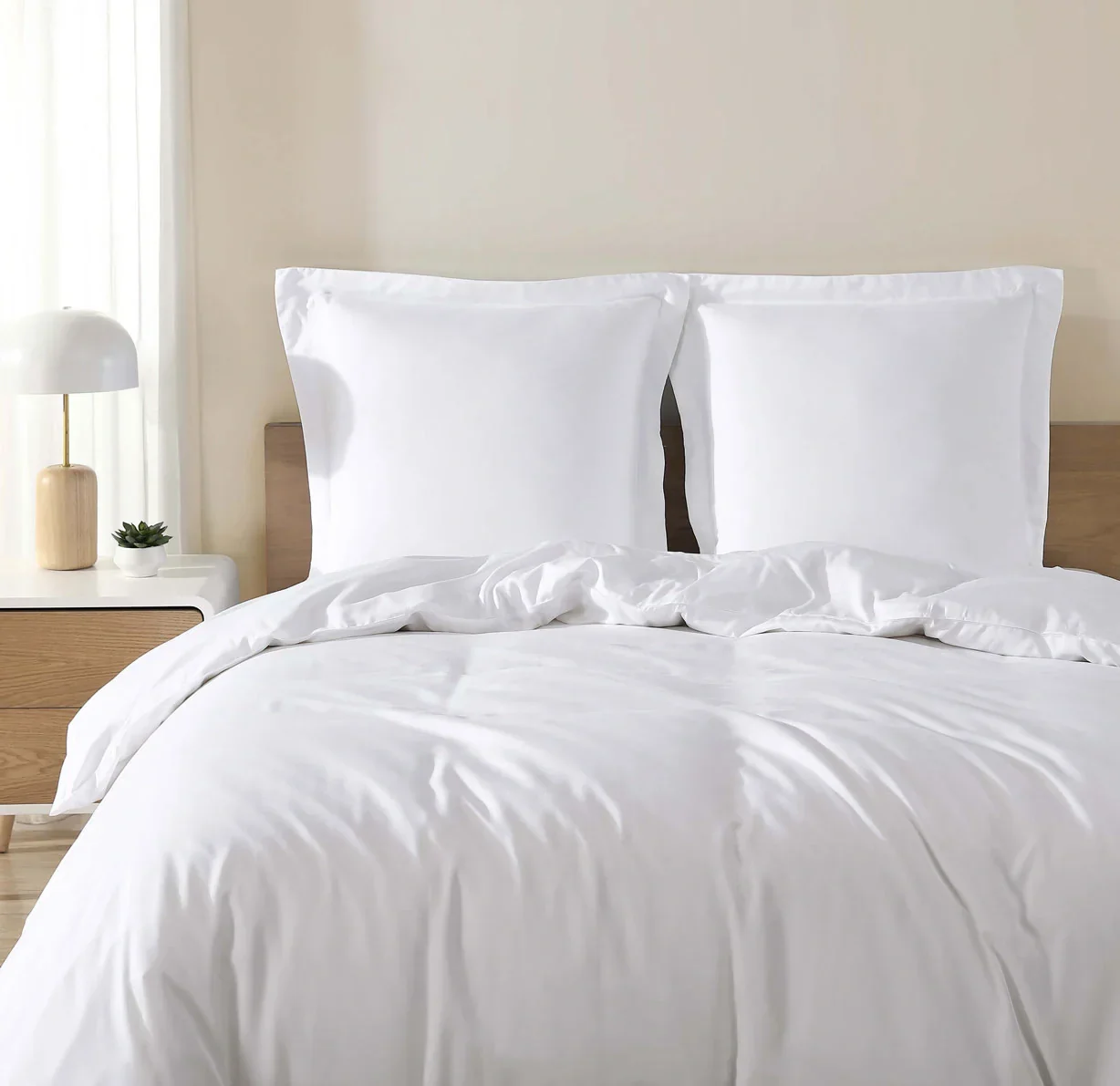 Natural Premium Bamboo Euro Sham - Image 35