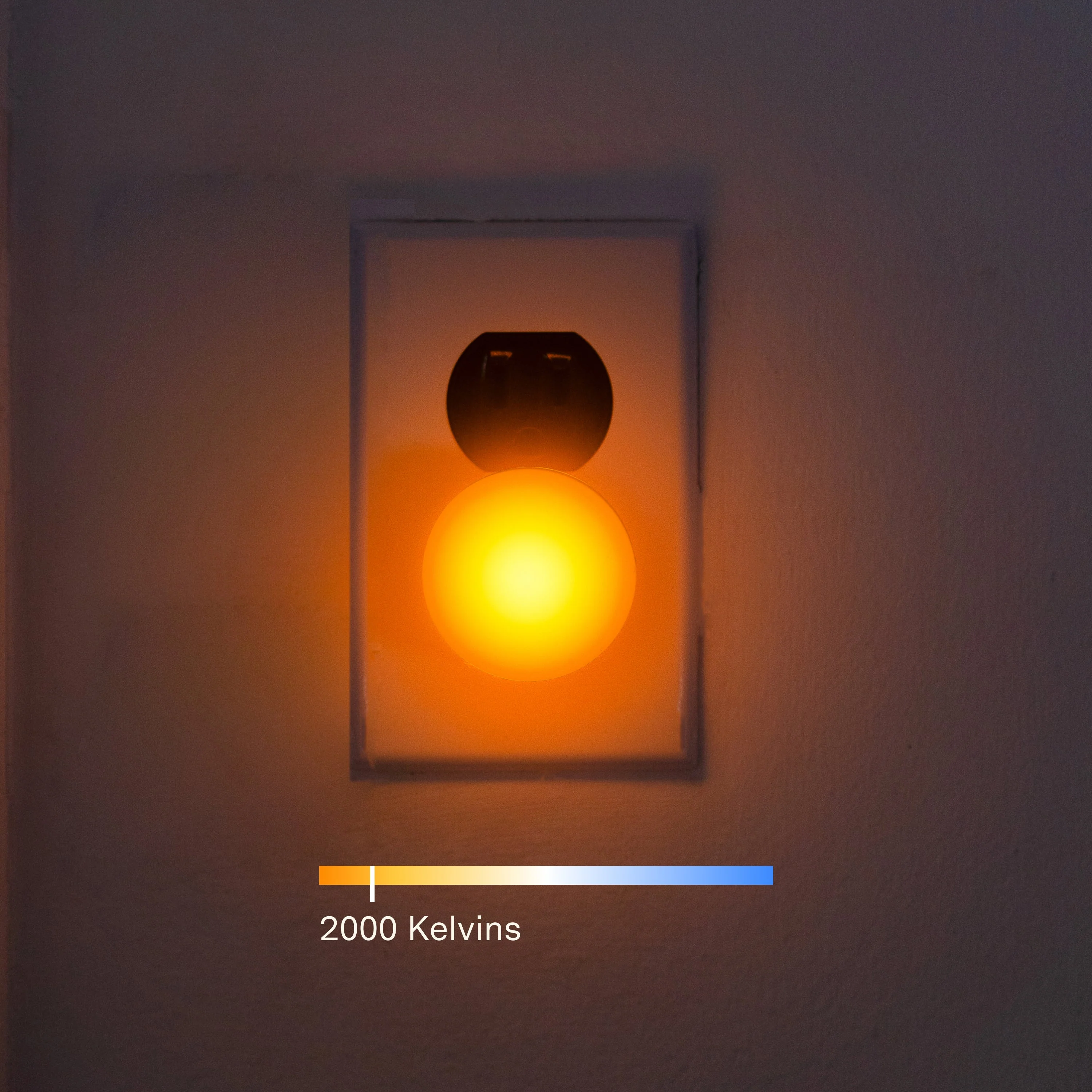 Night Lights - Image 6