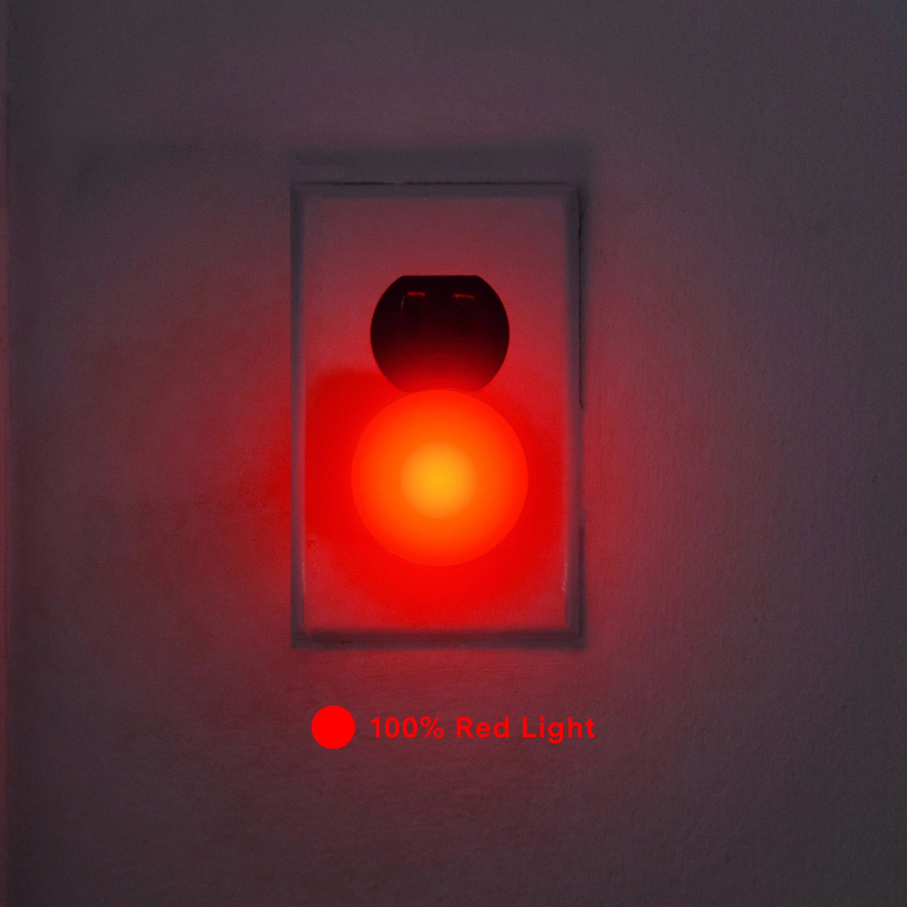 Night Lights - Image 7