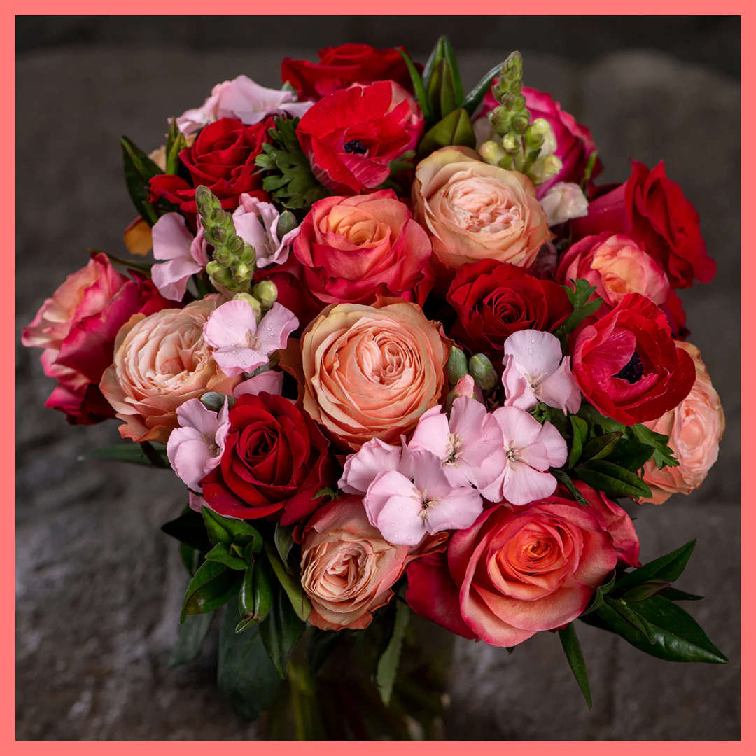 Oh My Darling - Image 10