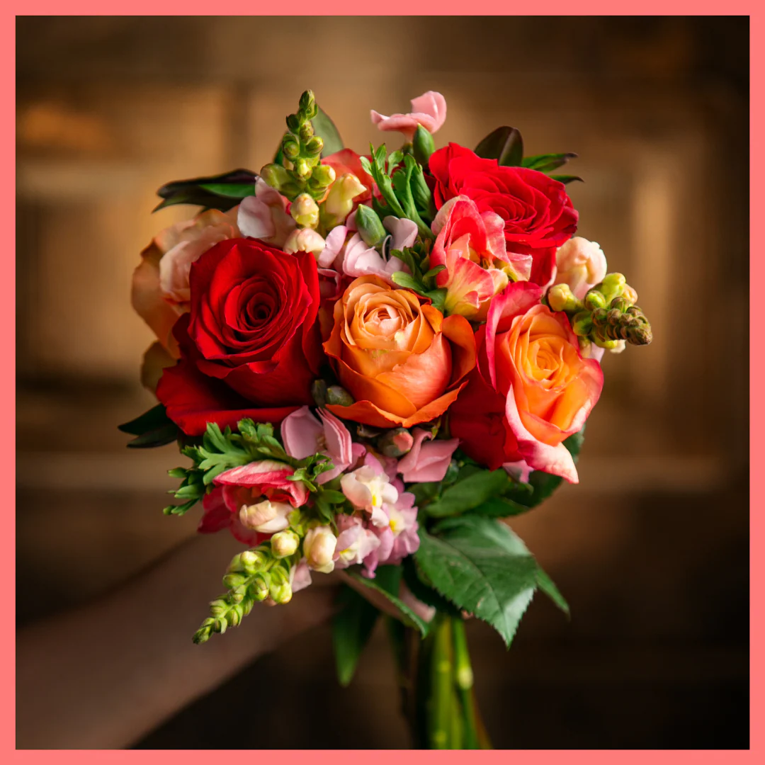 Oh My Darling - Image 11