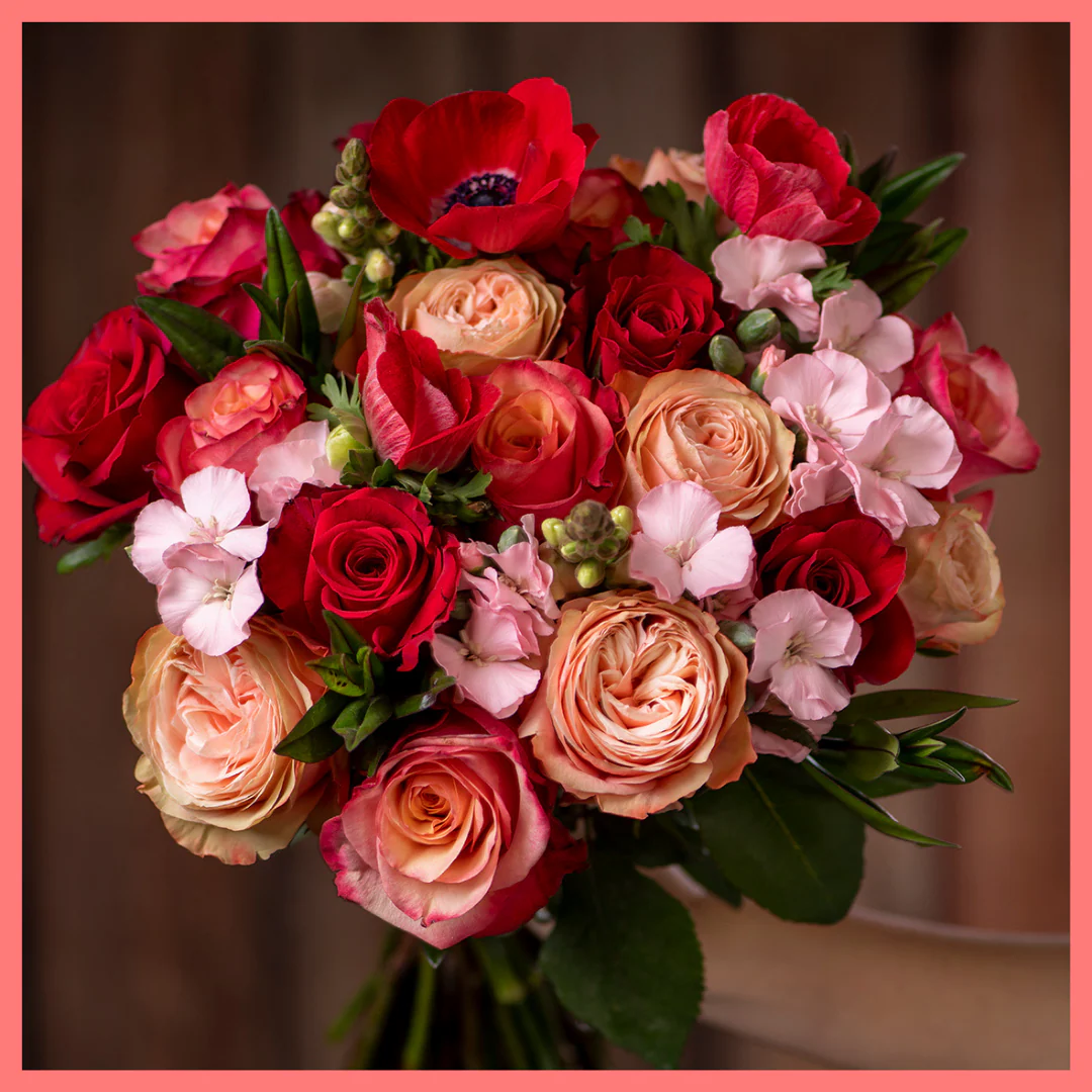 Oh My Darling - Image 9
