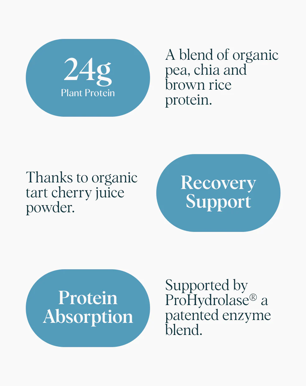 Plant Protein for Lifelong Strength - Image 2