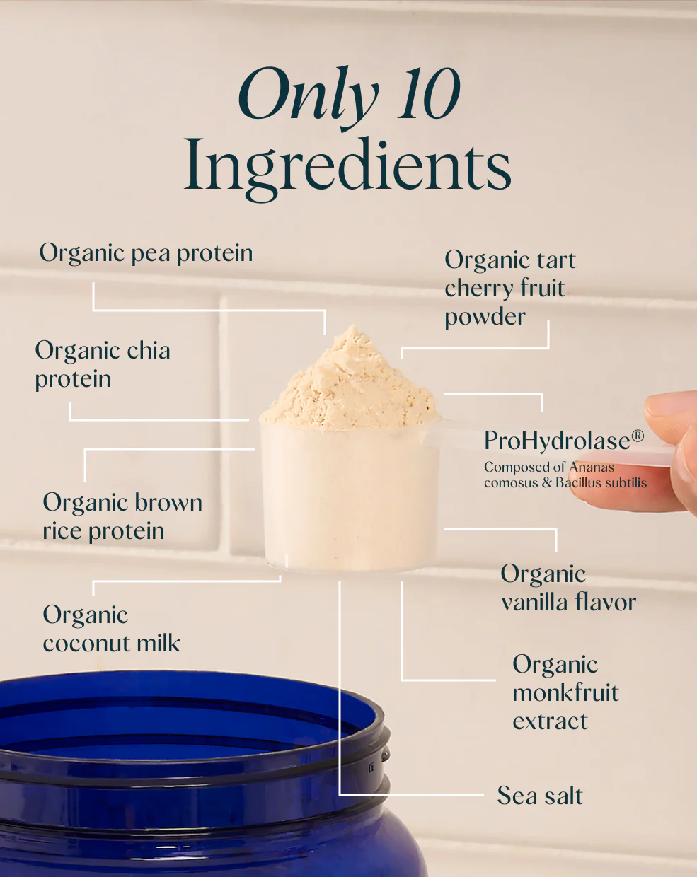 Plant Protein for Lifelong Strength - Image 6