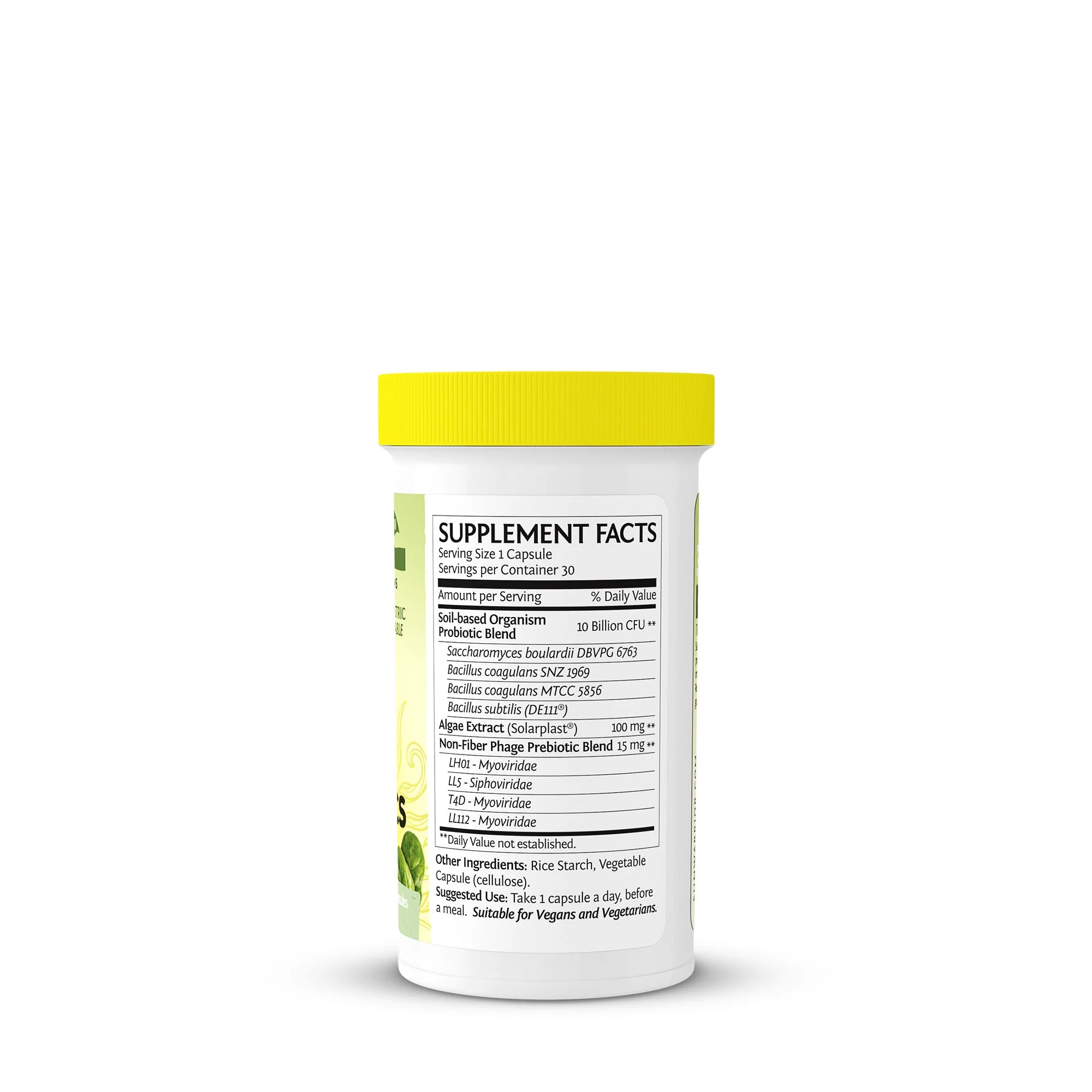 Probiotics - Image 3
