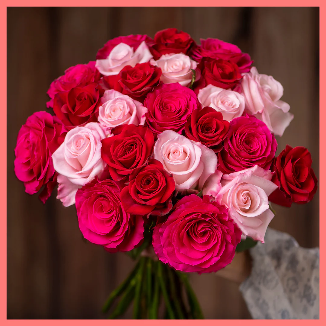 Roses on Roses on Roses - Image 4