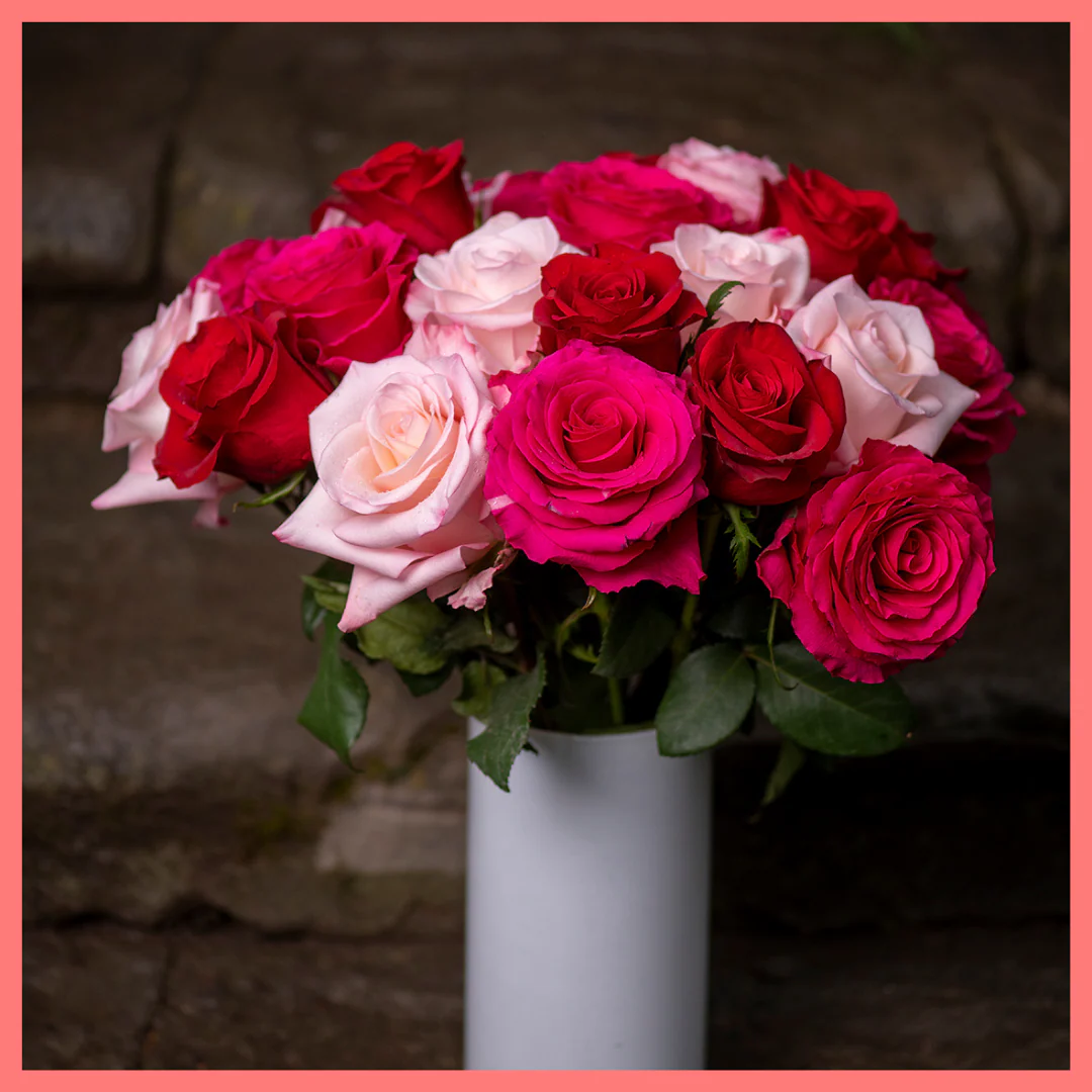 Roses on Roses on Roses - Image 5