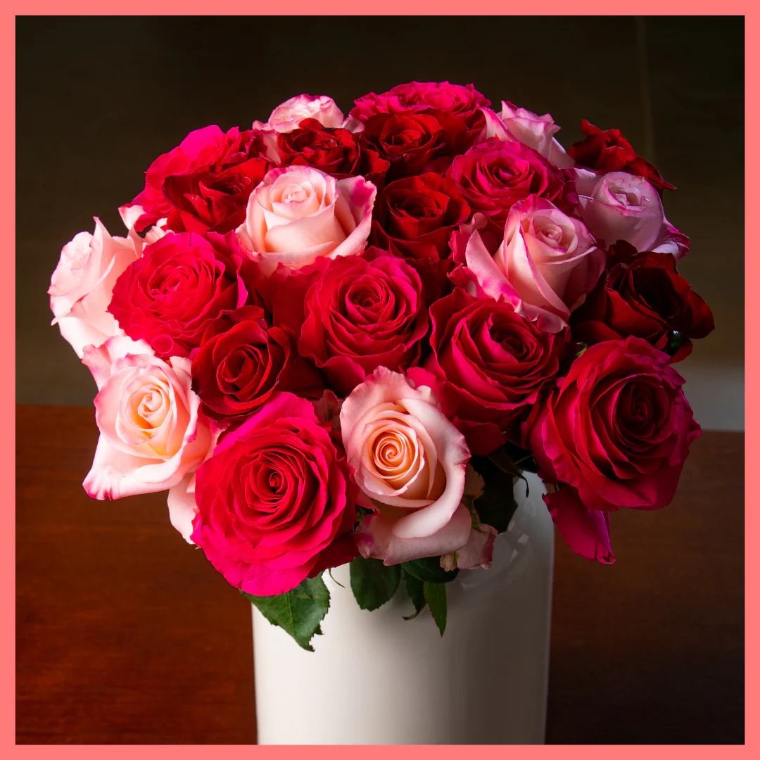 Roses on Roses on Roses - Image 8
