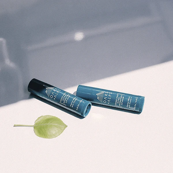 Shine-Free Lip Balm Kit - Image 5