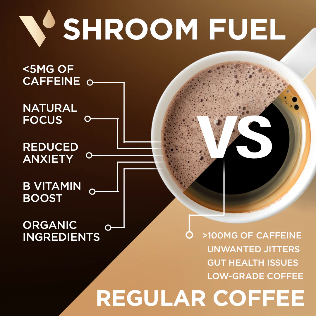 Shroom Fuel Coffee Alternative - Image 4