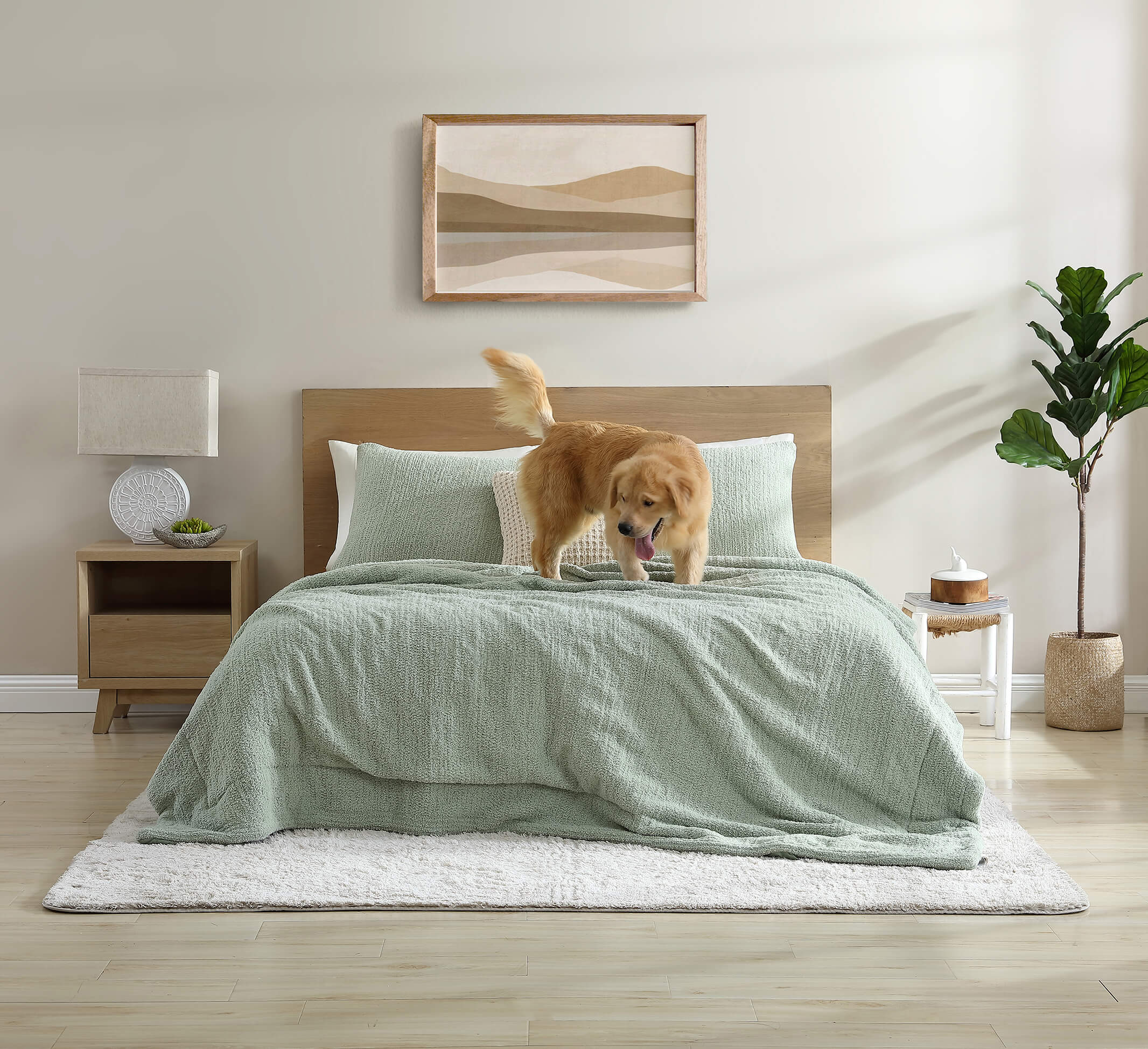 Snug + Bamboo Sham Set - Image 45