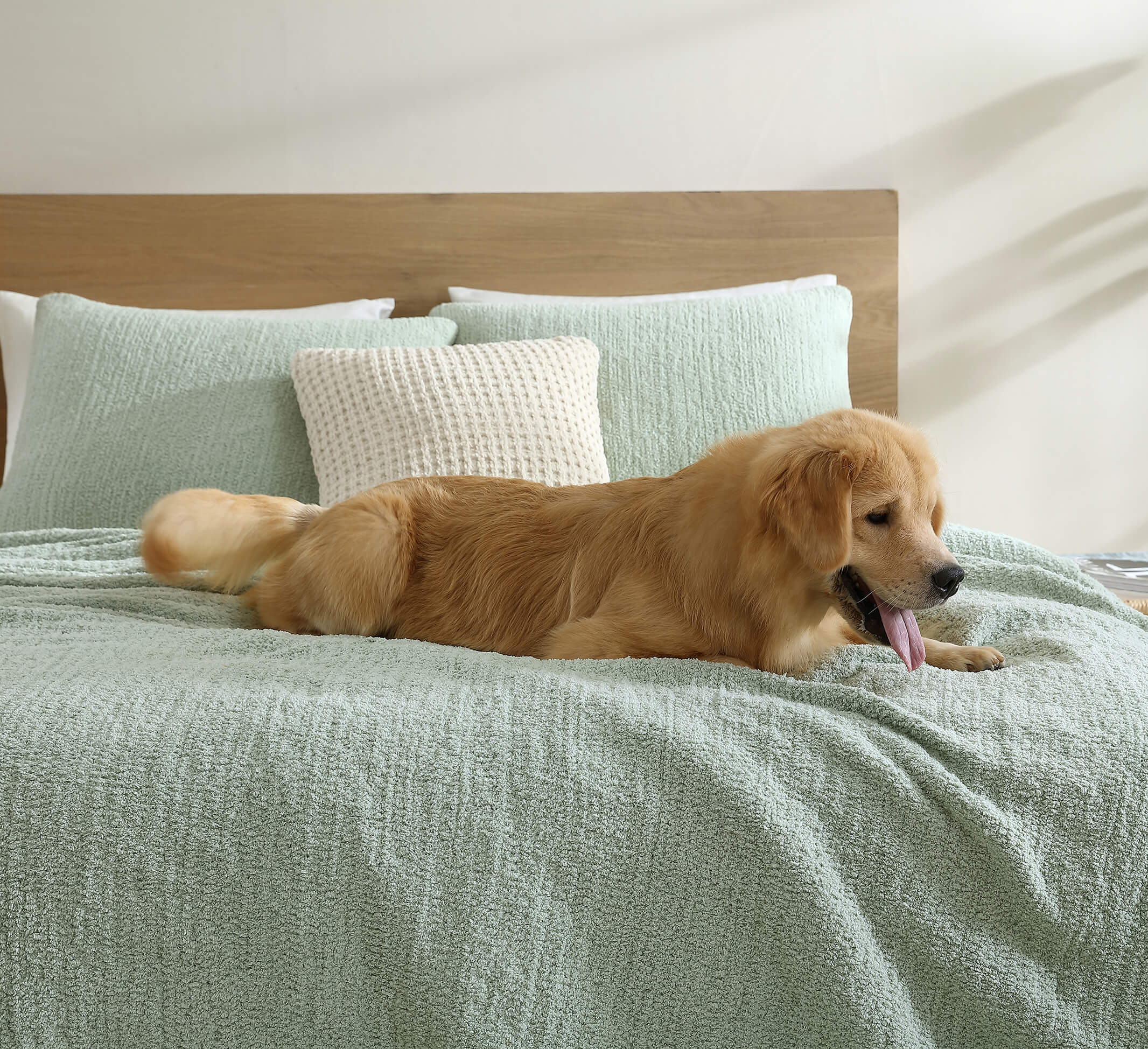 Snug + Bamboo Sham Set - Image 46