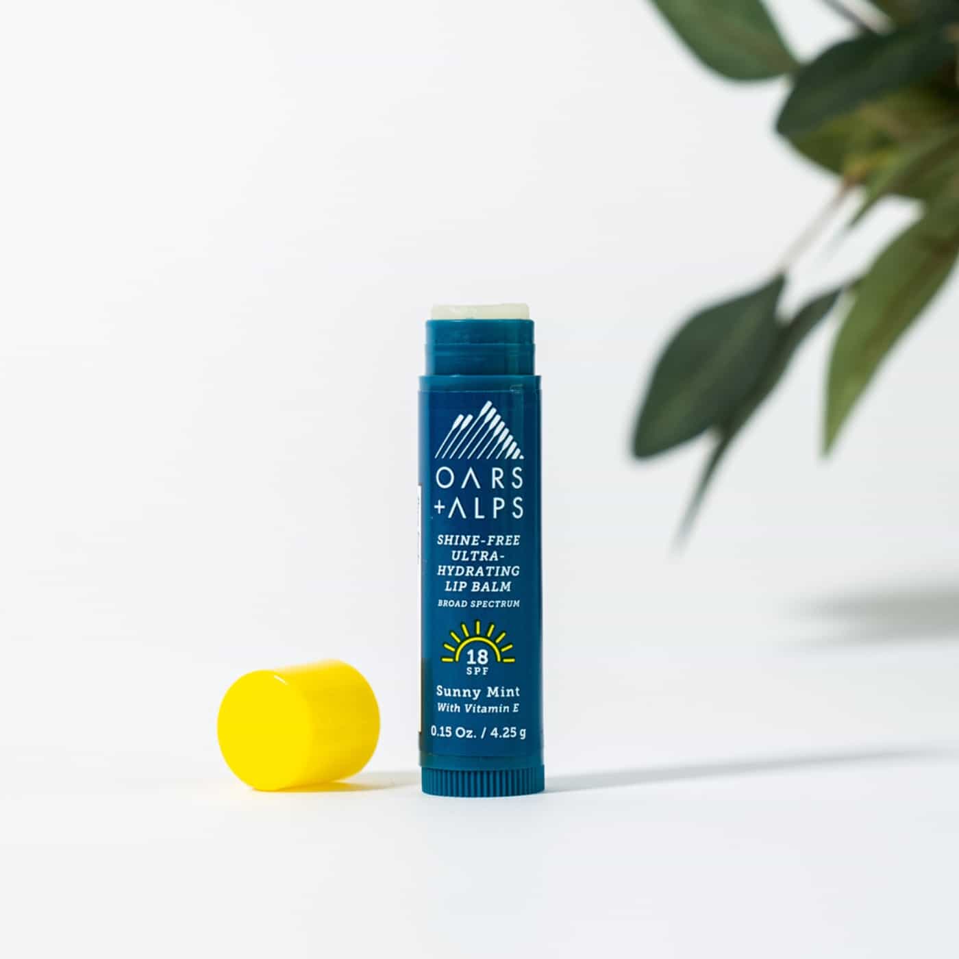 SPF Shine-Free Lip Balm Kit - Sunny Mint - Image 8