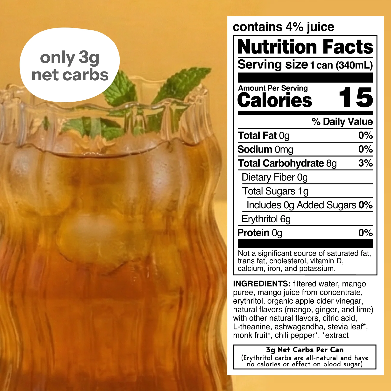 spiced mango (botanical tea | 12 pack) - Image 2