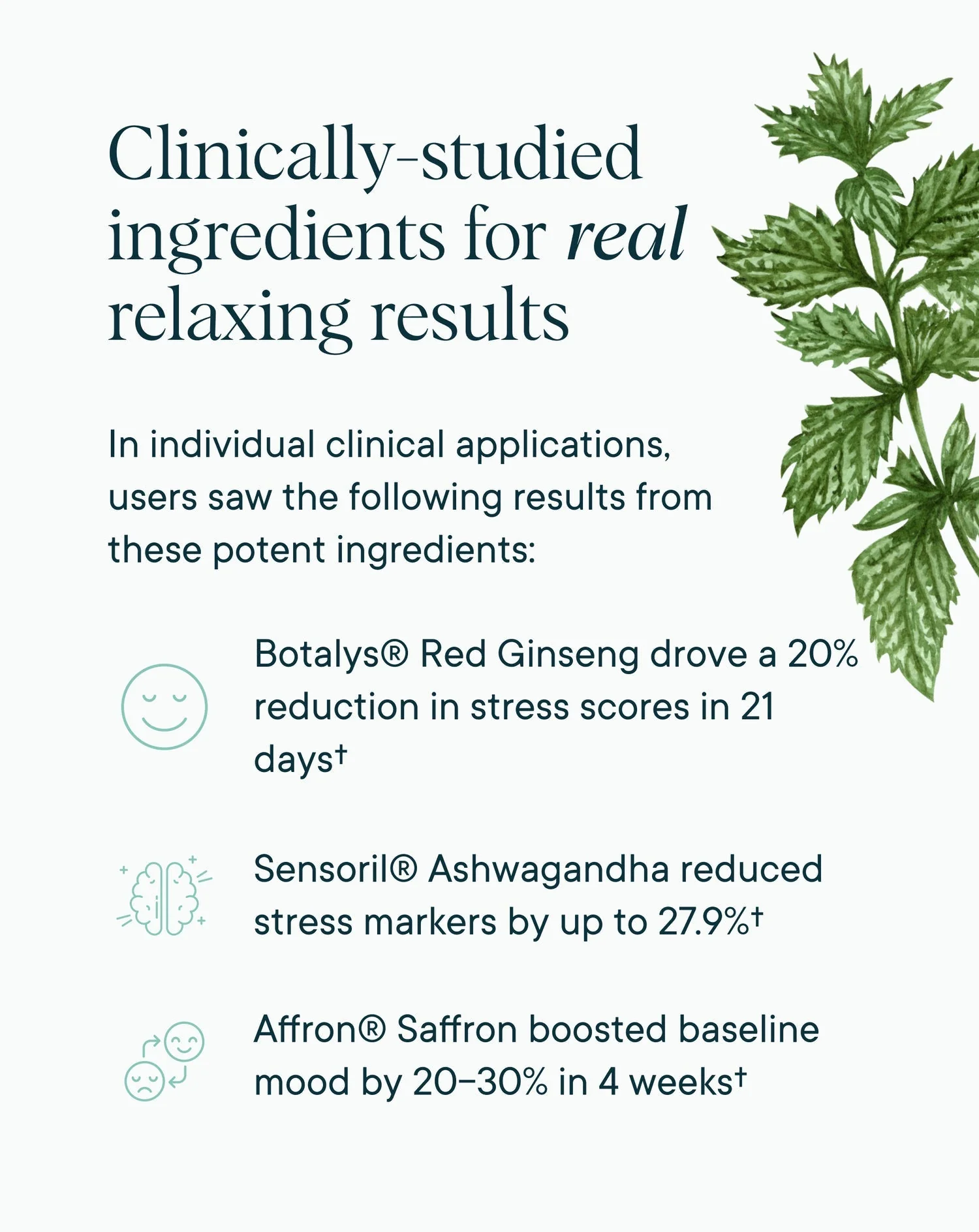 Stress Support - Image 3