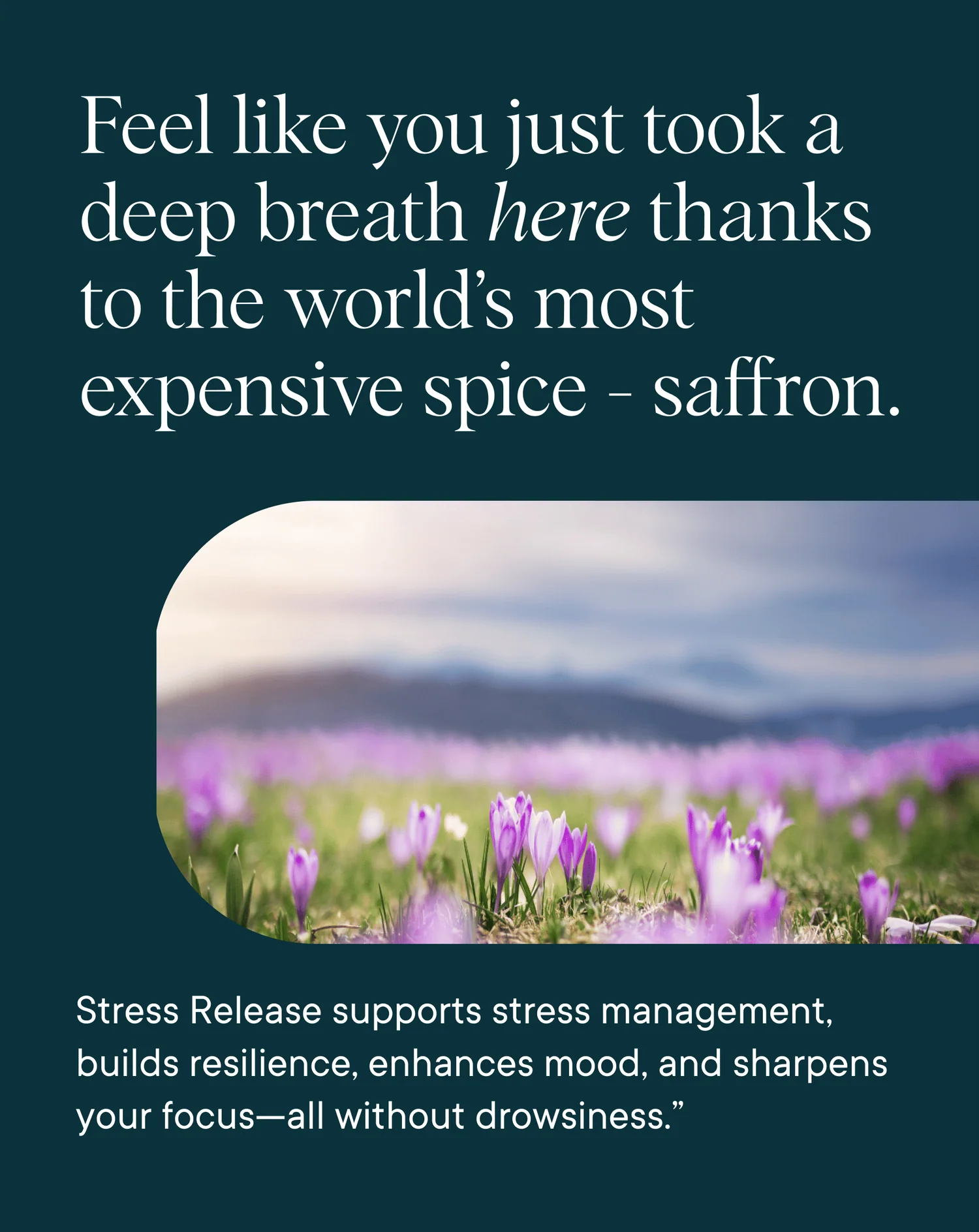 Stress Support - Image 4