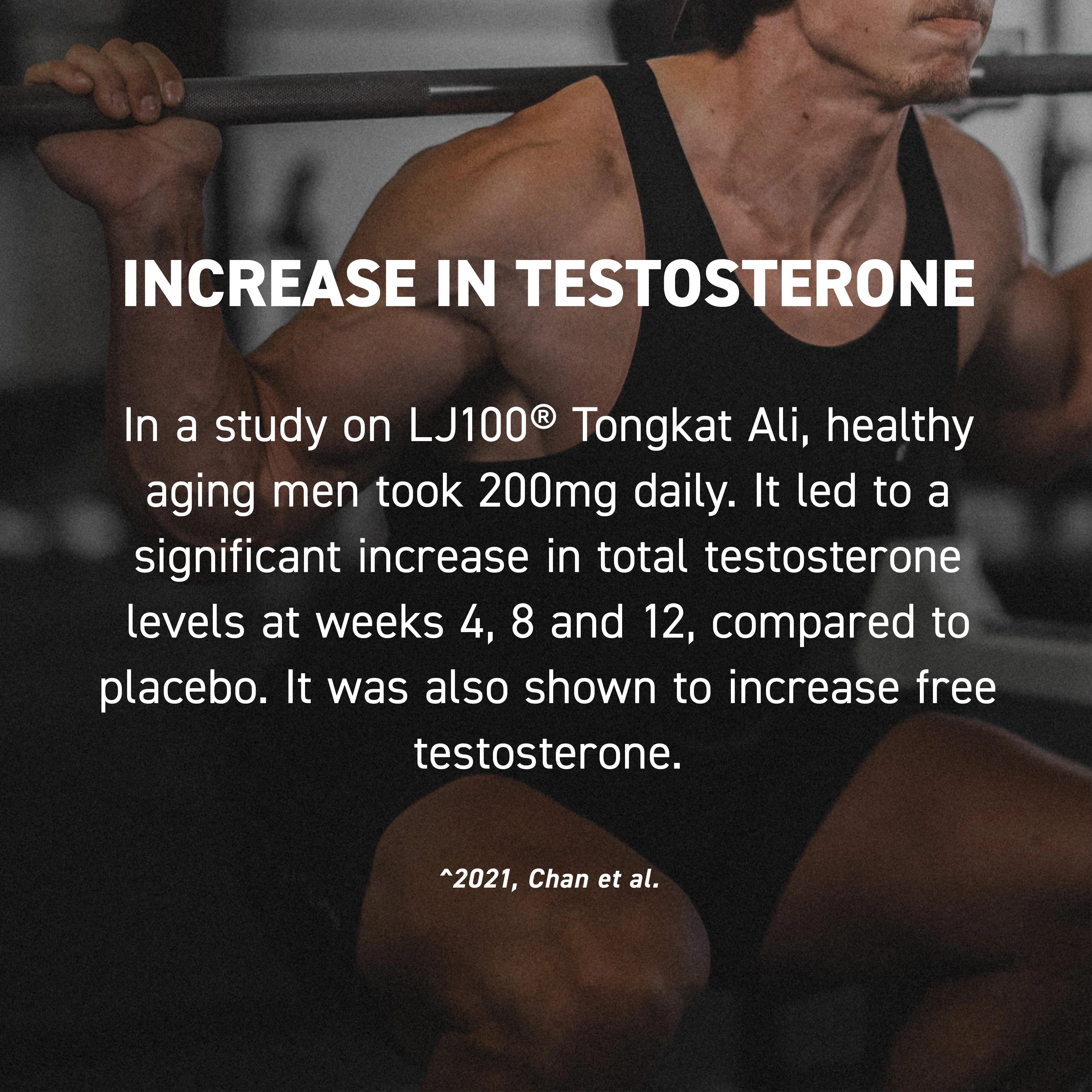 Test (Ferodrox) - Image 5