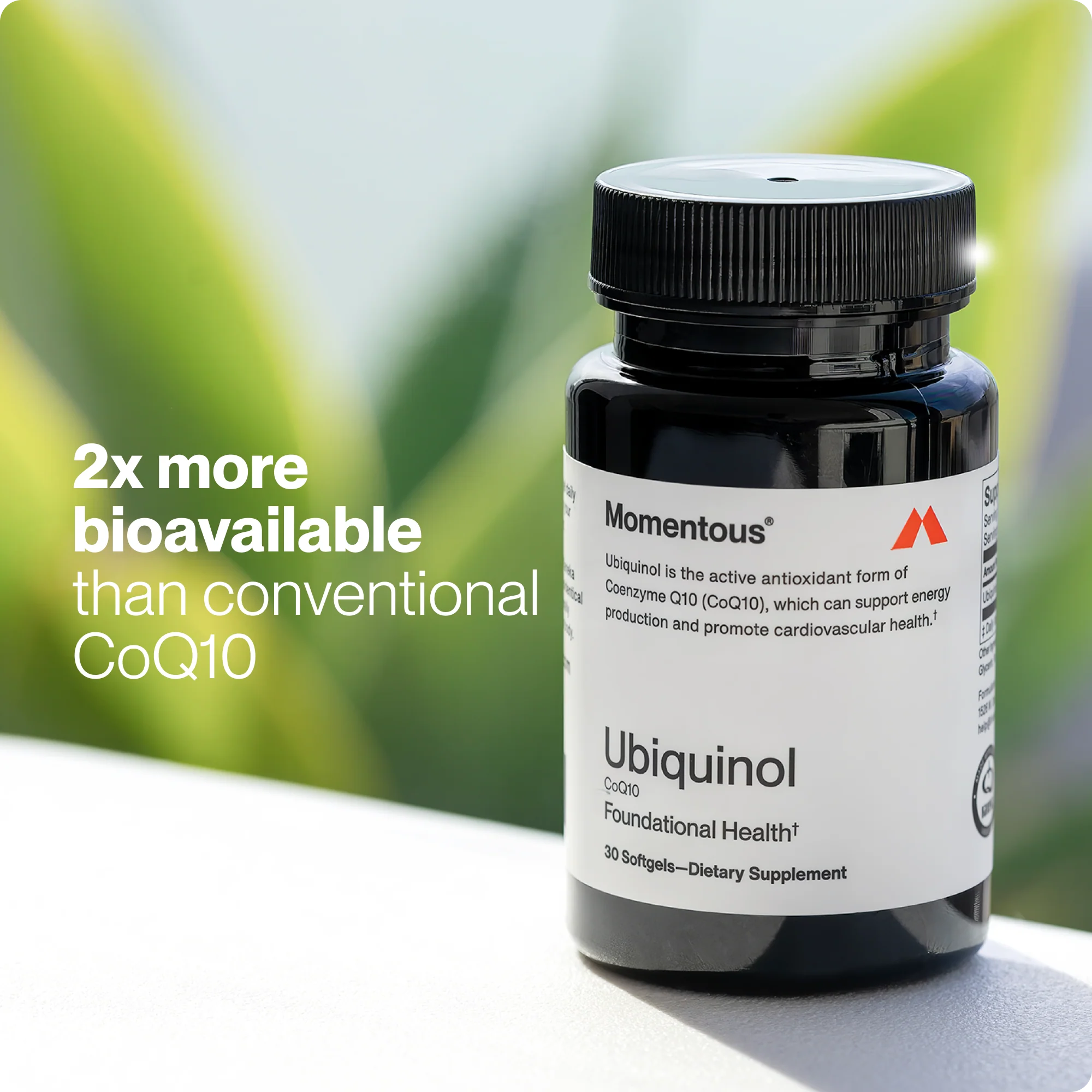 Ubiquinol - Image 2